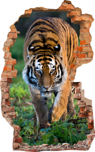 FOTOTAPETA 3D SAMOPRZYLEPNA naklejka ścienna POLUJĄCY TYGRYS