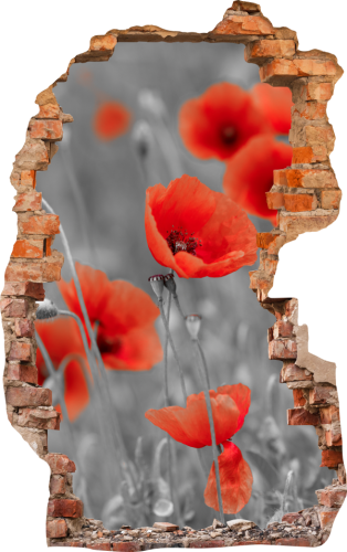 FOTOTAPETA 3D SAMOPRZYLEPNA naklejka ścienna MAKI