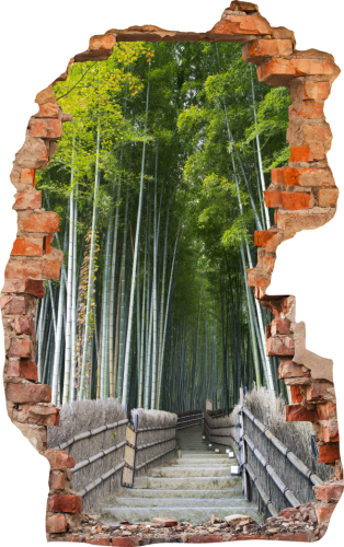 FOTOTAPETA 3D SAMOPRZYLEPNA naklejka ścienna MOST W LESIE