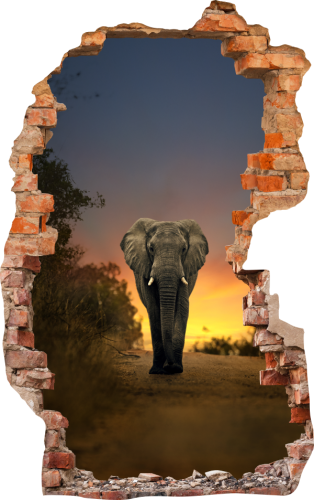 FOTOTAPETA 3D SAMOPRZYLEPNA naklejka ścienna SŁOŃ