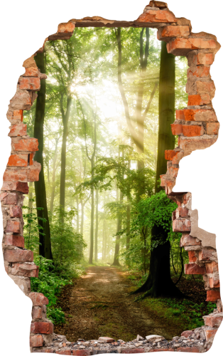 FOTOTAPETA 3D SAMOPRZYLEPNA naklejka ścienna PIĘKNY LAS