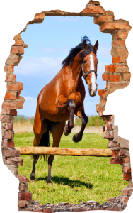 FOTOTAPETA 3D SAMOPRZYLEPNA naklejka ścienna KOŃ W SKOKU