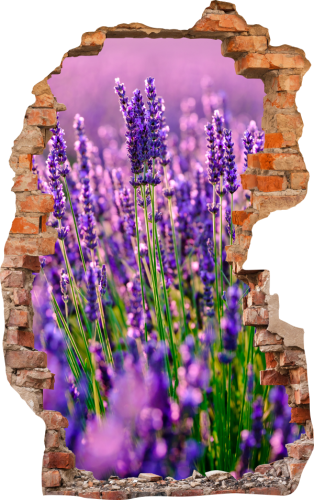 FOTOTAPETA 3D SAMOPRZYLEPNA naklejka ścienna LAWENDA