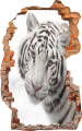 FOTOTAPETA 3D SAMOPRZYLEPNA naklejka ścienna BIAŁY TYGRYS