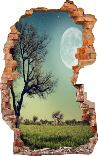 FOTOTAPETA 3D SAMOPRZYLEPNA naklejka ścienna NOCNY OBRAZ