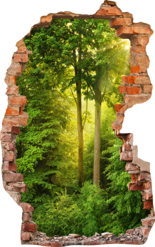 FOTOTAPETA 3D SAMOPRZYLEPNA naklejka ścienna TAJEMNICZY LAS