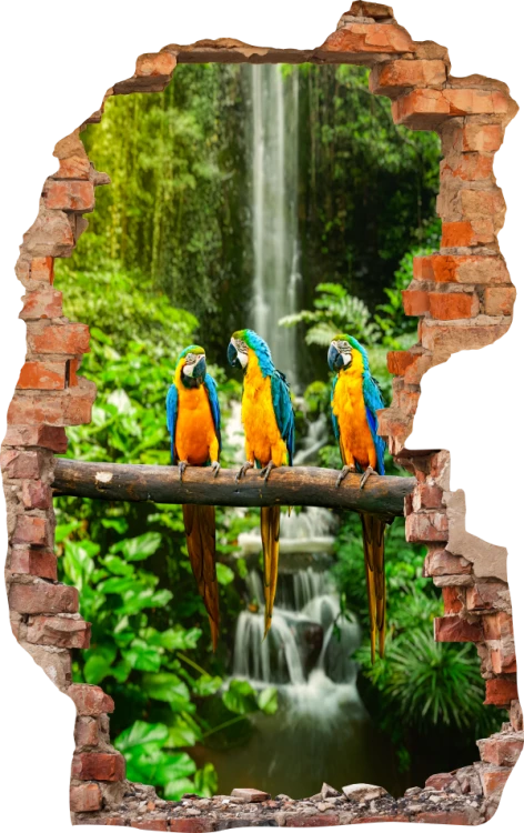1.png