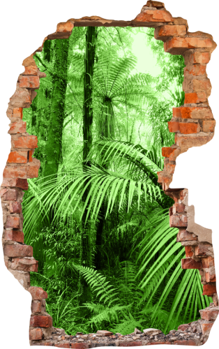 FOTOTAPETA 3D SAMOPRZYLEPNA naklejka ścienna PAPROĆ