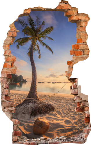 FOTOTAPETA 3D SAMOPRZYLEPNA naklejka ścienna PALMA