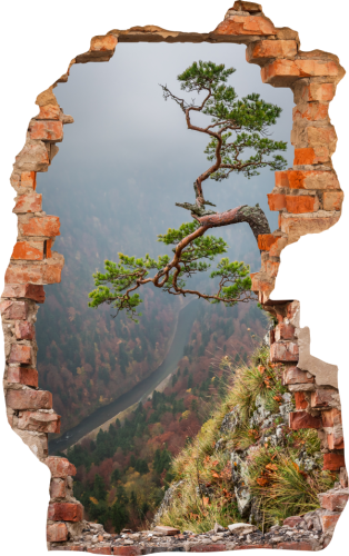 FOTOTAPETA 3D SAMOPRZYLEPNA naklejka ścienna DRZEWO NA KOŃCU ZBOCZA