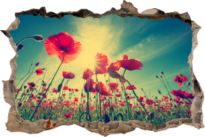 FOTOTAPETA 3D SAMOPRZYLEPNA naklejka ścienna MAKI W SŁOŃCU