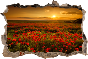 FOTOTAPETA 3D SAMOPRZYLEPNA naklejka ścienna WIELKIE POLE MAKÓW