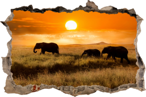 FOTOTAPETA 3D SAMOPRZYLEPNA naklejka ścienna SŁONIE