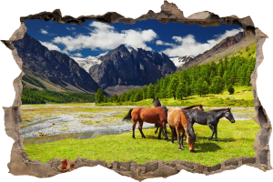 FOTOTAPETA 3D SAMOPRZYLEPNA naklejka ścienna KONIE NA POLANIE