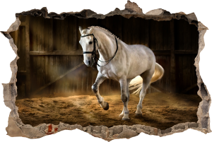 FOTOTAPETA 3D SAMOPRZYLEPNA naklejka ścienna BIAŁY RUMAK