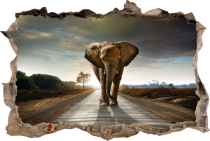 FOTOTAPETA 3D SAMOPRZYLEPNA naklejka ścienna SŁOŃ NA DRODZE
