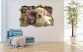 FOTOTAPETA 3D SAMOPRZYLEPNA naklejka ścienna KOTEK I PIESEK