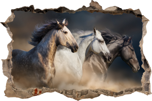 FOTOTAPETA 3D SAMOPRZYLEPNA naklejka ścienna TRZY KONIE