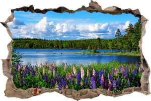 FOTOTAPETA 3D SAMOPRZYLEPNA naklejka ścienna NATURALNY PEJZAŻ KRAJOBRAZ