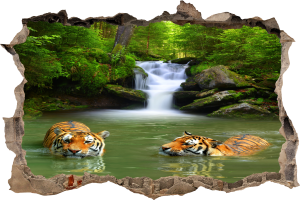 FOTOTAPETA 3D SAMOPRZYLEPNA naklejka ścienna TYGRYSY W WODZIE