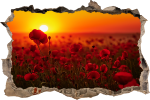 FOTOTAPETA 3D SAMOPRZYLEPNA naklejka ścienna MAKI ZACHÓD SŁOŃCA