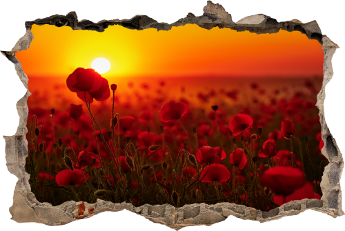 FOTOTAPETA 3D SAMOPRZYLEPNA naklejka ścienna MAKI ZACHÓD SŁOŃCA