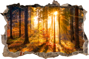 FOTOTAPETA 3D SAMOPRZYLEPNA naklejka ścienna CIEPŁY ZACHÓD SŁOŃCA