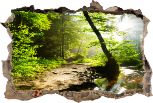 FOTOTAPETA 3D SAMOPRZYLEPNA naklejka ścienna POTOK W LESIE