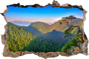 FOTOTAPETA 3D SAMOPRZYLEPNA naklejka ścienna WIDOK NA ZIELONE GÓRY