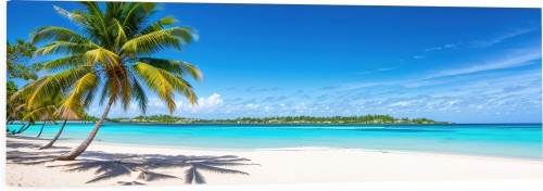 OBRAZ PANORAMICZNY dekoracyjny PANORAMA plaża w tropikach i palmy