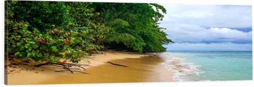 OBRAZ PANORAMICZNY dekoracyjny PANORAMA lasek tropikalny plaża ocean