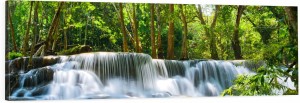 OBRAZ PANORAMICZNY dekoracyjny PANORAMA wodospad w lesie