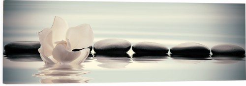 OBRAZ PANORAMICZNY dekoracyjny PANORAMA  biały kwiat kamienie zen 