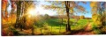 OBRAZ PANORAMICZNY dekoracyjny PANORAMA  jesienny krajobraz ścieżka las