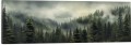 OBRAZ PANORAMICZNY dekoracyjny PANORAMA las za mgłą