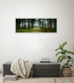 OBRAZ PANORAMICZNY dekoracyjny PANORAMA  las drzewa ścieżka natura 