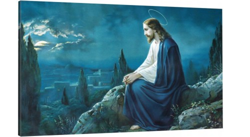 EZUS W OGRODZIE OLIWNYM o-1186.jpg