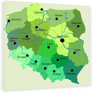 TABLICA KORKOWA MAPA POLSKI stolice miast PINEZKI GRATIS
