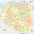 TABLICA KORKOWA MAPA POLSKI na ścianę do biura PINEZKI GRATIS