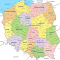 TABLICA KORKOWA MAPA POLSKI województwa polski PINEZKI GRATIS