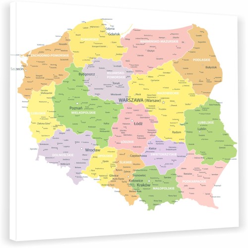 MP_08.jpg