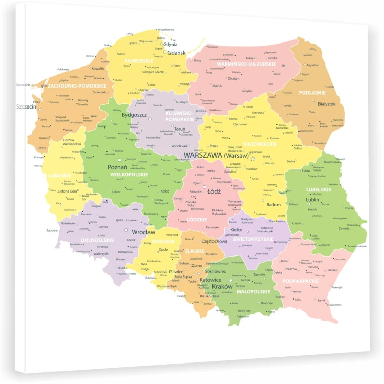 MP_08.jpg