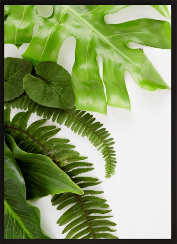 DEKORACYJNY PLAKAT ZIELONE LIŚCIE NATURA