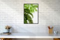 DEKORACYJNY PLAKAT ZIELONE LIŚCIE NATURA
