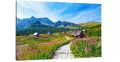 Obraz GÓRY TATRY ŚCIEŻKA KROKUSY  do salonu sypialni