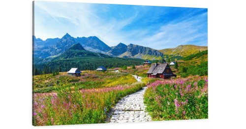 GÓRY TATRY ŚCIEŻKA CHATY o-2051.jpg