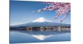 Obraz Japonia Góra Fuji widok do salonu sypialni 
