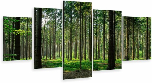 TRYPTYK OBRAZ 5 części na płótnie do przedpokoju NATURALNY LAS DRZEWA MECHTRYPTYK OBRAZ 5 części na płótnie do przedpokoju NATURALNY LAS DRZEWA MECH