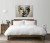 232211.jpg