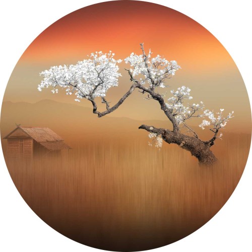 Fototapeta samoprzylepna okrągła naklejka ścienna sakura drzewo japonia